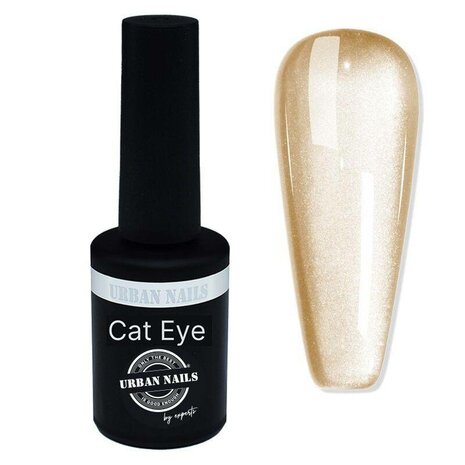 Ceramic cat eye CCA12
